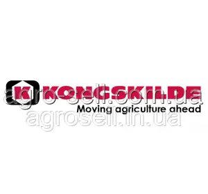 Лапа носок 105х4 мм М10 (стійка 32х10) KongskildeI 302006/101000644/101000031/101000713 Лапа носок 105х4 мм М10 (стійка 32х10) KongskildeI 302006/101000644/101000031/101000713