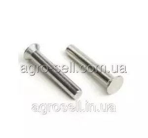 F02250521 Заклепка металева 6x20 Gaspardo F02250521 Заклепка металева 6x20 Gaspardo