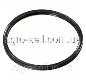 Кольцо уплотн. 8940/7240 Case 193478A1 Кольцо уплотн. 8940/7240 Case 193478A1