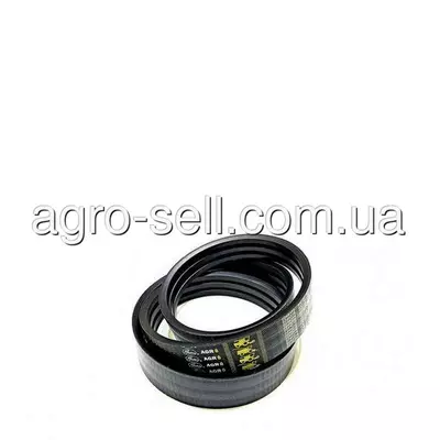 Пас (H228346) 0244316