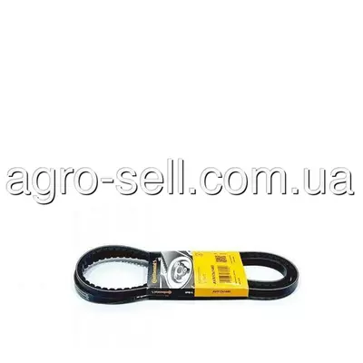 Клиновий пас (H177589)