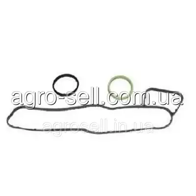 Комплект прокладок масляного фільтра (DAF OE) 1643075