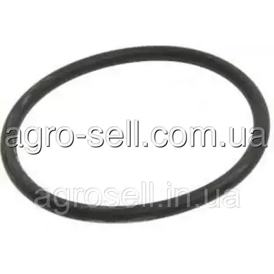 Кільце ущільнююче системи охолодження 56*4 мм (MAN OE) 6569390071