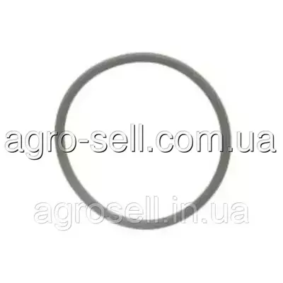 Кільце ущільнююче насос форсунки 40,94*2,62 (DAF OE) 1664753