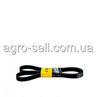 Доріжковий пас (R129083)