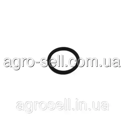 Кільце форсунки MAN TGA/TGL/TGM/LIONS CITY/TGX (24х3мм) (BOSCH) F00RJ00534