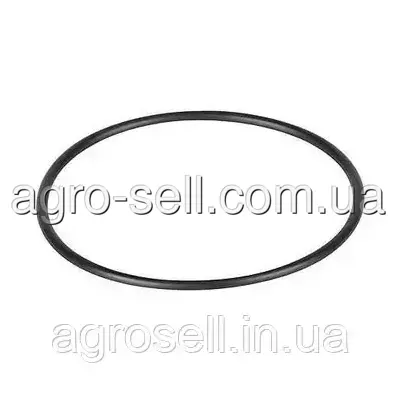 Кільце термостату ущільнююче (DAF OE) 1661255