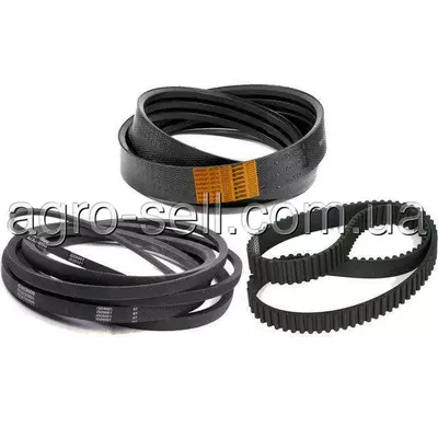 Пас привідний (233843)