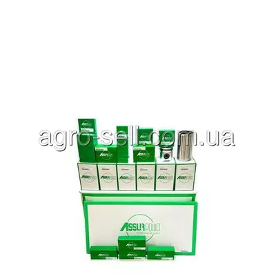 Ремкомплект двигуна DZ114649 (RE504201, RE526963, RE526962, RE64907)