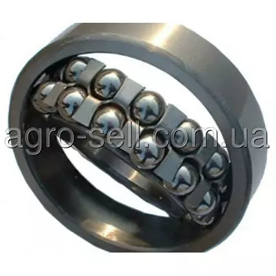 Підшипник 1205 (12097, 04005 Dominoni)