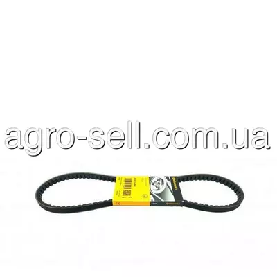 Клиновий пас (M82461)