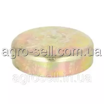 Заглушка ГБЦ (DAF OE) 2271334