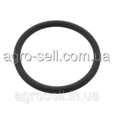 Кільце ущільнююче термостату (DAF OE) 2115851 1670331