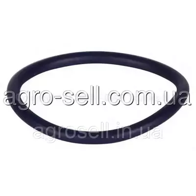 Кільце ущільнююче системи охолодження (DAF OE) 2000734