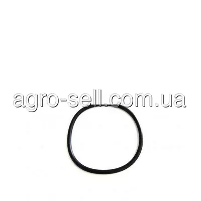 Кільце ущільнююче (R564667) John Deere