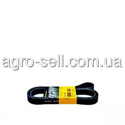 Доріжковий пас (R174754)