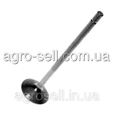 Клапан впускний (Mahle) 213VE31022000