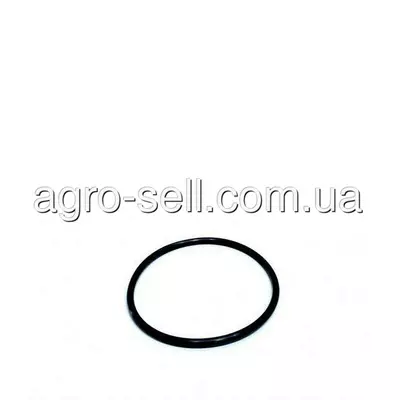 Кільце ущільнююче (Z44828) John Deere