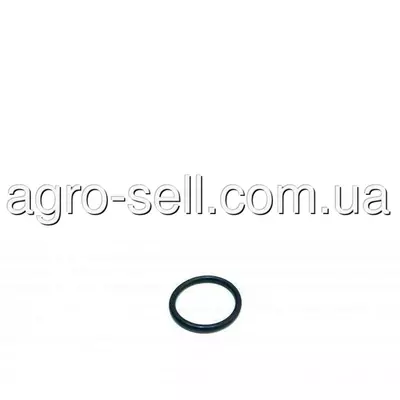 Ущільнююче кільце (T78313) John Deere
