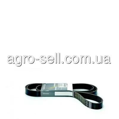 Доріжковий пас (H214375, DZ119643, R504618)