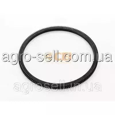 Вінець маховика Scania (CEI) 123193