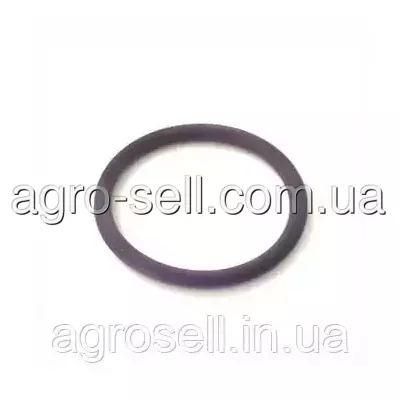 Кільце ущільнююче насос форсунки 24*2,5 (DAF OE) 1638270