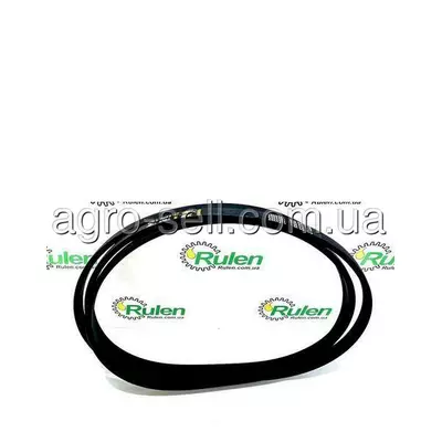 Пас клиновидний (H177383)