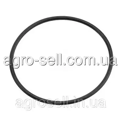 Кільце ущільнююче повертального кулака 66.34*2.62 (DAF OE) 1369176