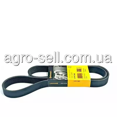 Пас поліклиновий (H175467, N308133)