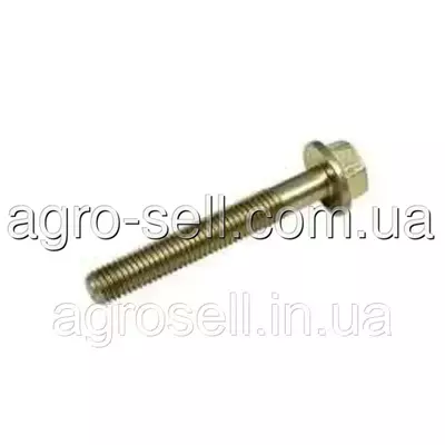 Болт корзини зчеплення М10*1,5*70 (DAF OE) 1243069