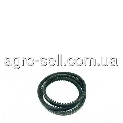 Пас (HXE79558) 0173227