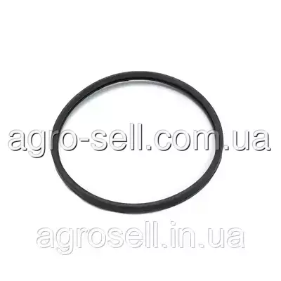 Кільце ущільнююче термостату RVI, VOLVO (7421503575) (ELRING) 729.170