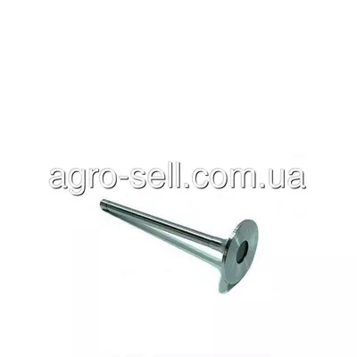 Впускний клапан стандарт (R84618, R504060)