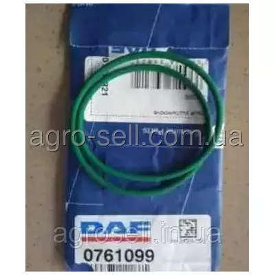 Кільце ущільнююче паливного насосу (DAF OE) 761099