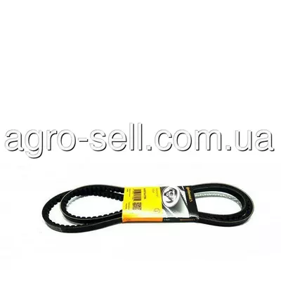 Клиновий пас (H201498)