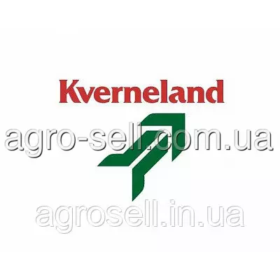 Зірочка Z-17 AC821774 Kverneland