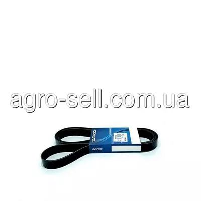 Пас поліклиновий (L111804)