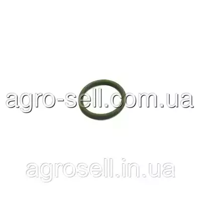 Кільце ущільнююче системи Common Rail (BOSCH) F00N200048