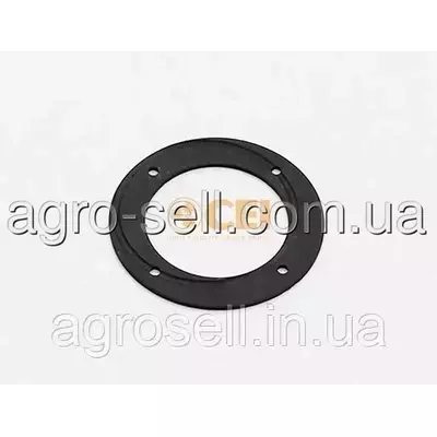 Шайба коронки диференціалу (CEI) 169788