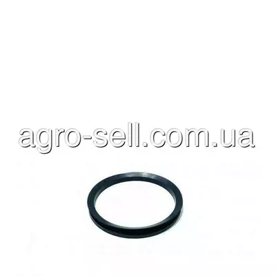 Кільце (R99244)