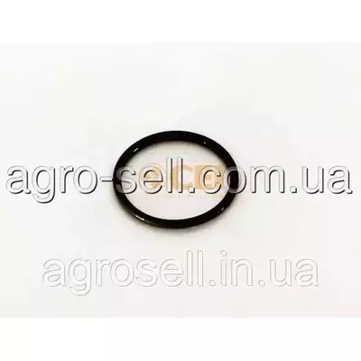 Кільце ущільнююче ретардера КПП 37х3 (CEI) 139637