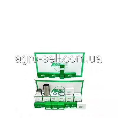 Ремкомплект двигуна RE504202 (RE64907, DZ114649, RE70689, RE65407)