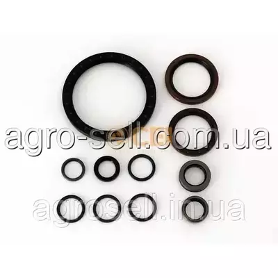 Комплект сальників КПП (CEI) 198838